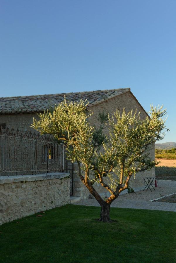 La Bastide Neuve Bed & Breakfast Joucas Dış mekan fotoğraf